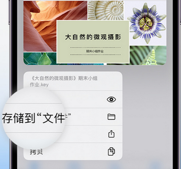 柳江apple维修中心分享iPhone文件应用中存储和找到下载文件