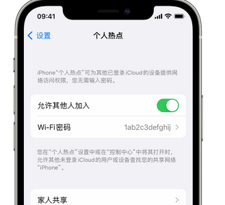 柳江apple服务站点分享iPhone上个人热点丢失了怎么办