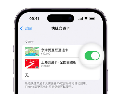 柳江apple维修点分享iPhone上更换Apple Pay快捷交通卡手绘卡面 