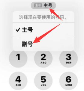 柳江苹果14维修店分享iPhone 14 Pro Max使用副卡打电话的方法 