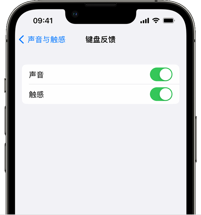 柳江苹果14维修分享iPhone 14 系列机型如何开启键盘声音或触感反馈 