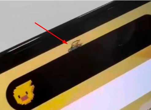 柳江苹果14维修分享iPhone 14 Pro Max灵动岛怎么养宠物 