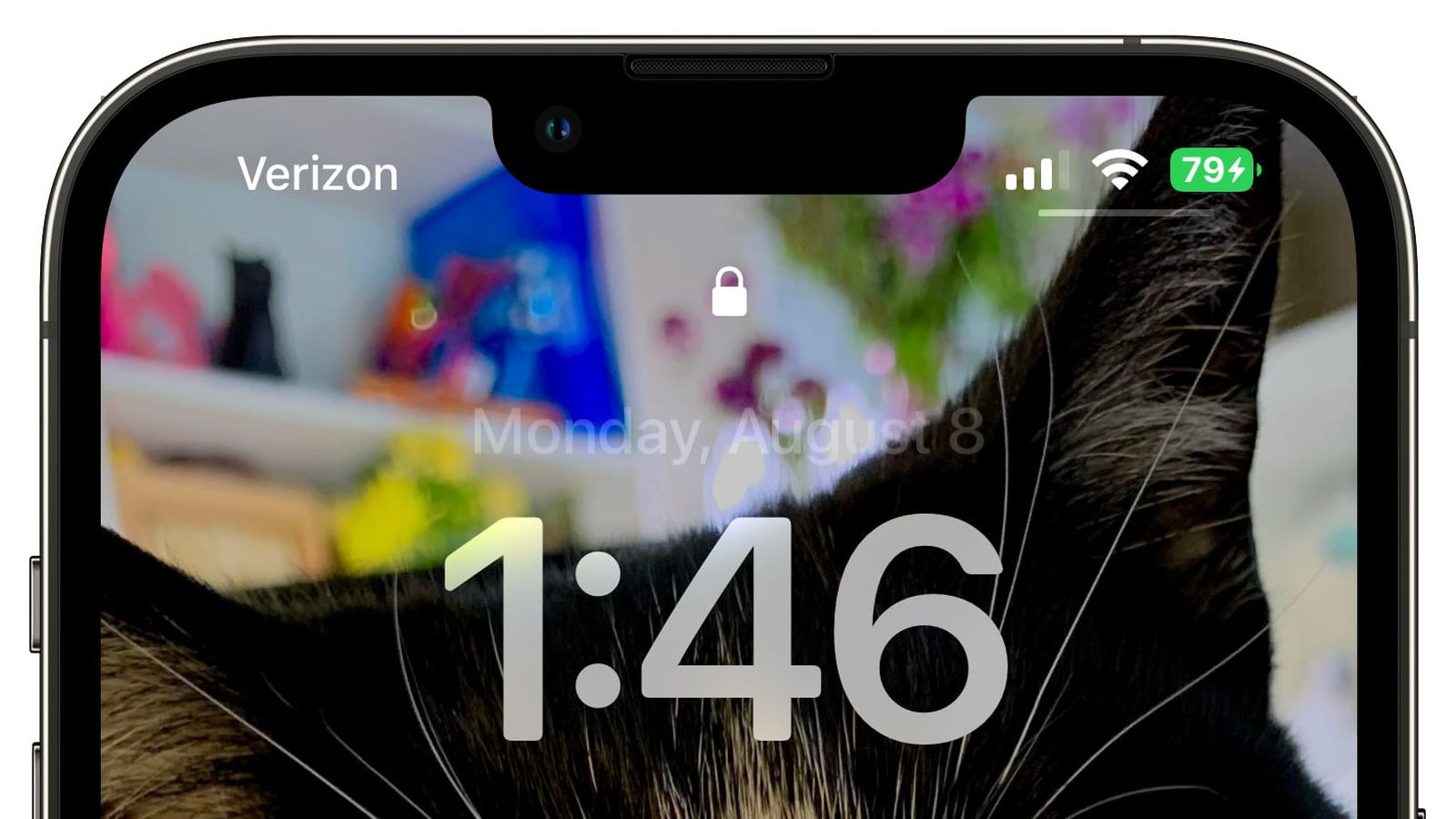 柳江苹果手机维修分享iOS 16 beta 5 支持状态栏显示电池百分比，如何开启？支持哪些机型 