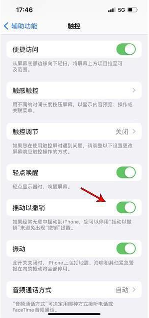 柳江苹果手机维修分享iPhone手机如何设置摇一摇删除文字 