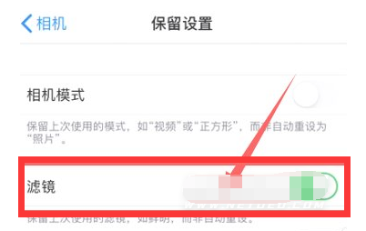 柳江苹果13维修分享iPhone13拍照有绿点是怎么回事 