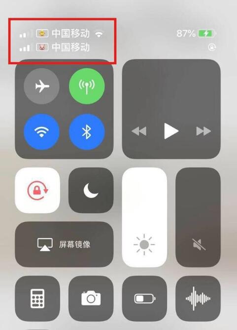 柳江苹果手机维修分享为 iPhone 12 双卡设置标签 